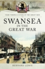 Swansea in the Great War - eBook