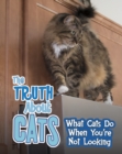 The Truth about Cats : What Cats Do When You're Not Looking - eBook