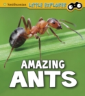 Amazing Ants - Book