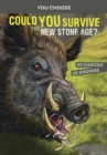 Could You Survive the New Stone Age? : An Interactive Prehistoric Adventure - eBook