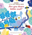 Are you there little Owl? - Book