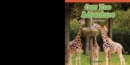 Our Zoo Adventure : Compare Numbers - eBook