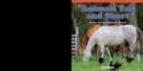 Animals Tall and Short : Describe and Compare Measurable Attributes - eBook