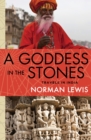 A Goddess in the Stones : Travels in India - eBook