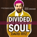 Divided Soul - eAudiobook