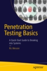 Penetration Testing Basics : A Quick-Start Guide to Breaking into Systems - eBook