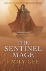 The Sentinel Mage - eBook