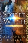 The Secret Witch - eBook