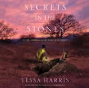 Secrets in the Stones - eAudiobook