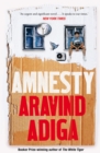 Amnesty - Book