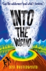 Into the Volcano - eBook