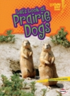 Let's Look at Prairie Dogs - eBook