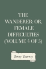 The Wanderer; or, Female Difficulties (Volume 4 of 5) - eBook