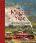 Harry Potter – A Magical Year : The Illustrations of Jim Kay - Book