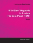 FAr Elise - Bagatelle No. 25 in A Minor - WoO 59, Bia 515 - For Solo Piano : With a Biography by Joseph Otten - eBook