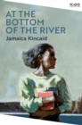 At the Bottom of the River - eBook
