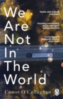 We Are Not in the World : ‘compelling and profoundly moving’ Irish Times - Book