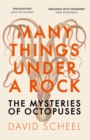 Many Things Under a Rock : The Mysteries of Octopuses - eBook