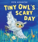 Tiny Owl's Scary Day - Book