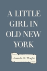 A Little Girl in Old New York - eBook