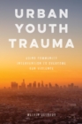 Urban Youth Trauma : Using Community Intervention to Overcome Gun Violence - eBook