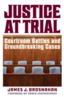 Justice at Trial : Courtroom Battles and Groundbreaking Cases - eBook