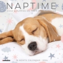 Naptime (Dogs) 2024 7 X 7 Mini Wall Calendar - Book