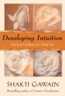 Developing Intuition : Practical Guidance for Daily Life - eBook