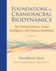 Foundations in Craniosacral Biodynamics, Volume Two - eBook