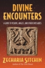 Divine Encounters : A Guide to Visions, Angels, and Other Emissaries - eBook