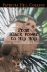 From Black Power to Hip Hop : Racism, Nationalism, and Feminism - Book
