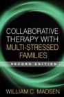 Collaborative Therapy with Multi-Stressed Families, Second Edition - Book