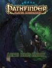 Pathfinder Player Companion: Haunted Heroes Handbook - Book