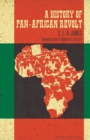 A History of Pan-African Revolt - eBook
