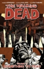 The Walking Dead Volume 17: Something to Fear - Book