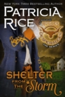 Shelter From the Storm - eBook