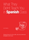 What They Didn't Teach You in Spanish Class : Slang Phrases for the Cafe, Club, Bar, Bedroom, Ball Game and More - eBook