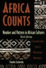 Africa Counts - eBook