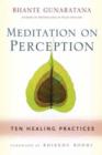 Meditation on Perception : Ten Healing Practices to Cultivate Mindfulness - Book