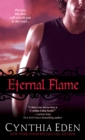 Eternal Flame - eBook