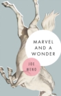 Marvel and a Wonder - eBook