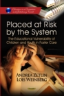 Placed at Risk by the System : The Educational Vulnerability of Children and Youth in Foster Care - eBook