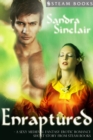 Enraptured - A Sexy Medieval Fantasy Erotic Romance Short Story from Steam Books - eBook