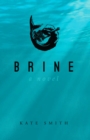 Brine - eBook