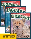 Wild Cats (Set of 8) - Book