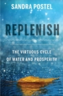 Replenish : The Virtuous Cycle of Water and Prosperity - Book