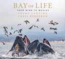 Bay of Life : From Wind to Whales - Book