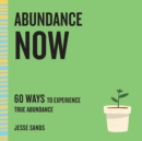 Abundance Now - eAudiobook