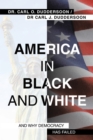 America in Black and White : And Why Democracy Has Failed - eBook