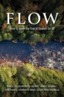 Flow : How to Open the Flow of Finance for All - eBook